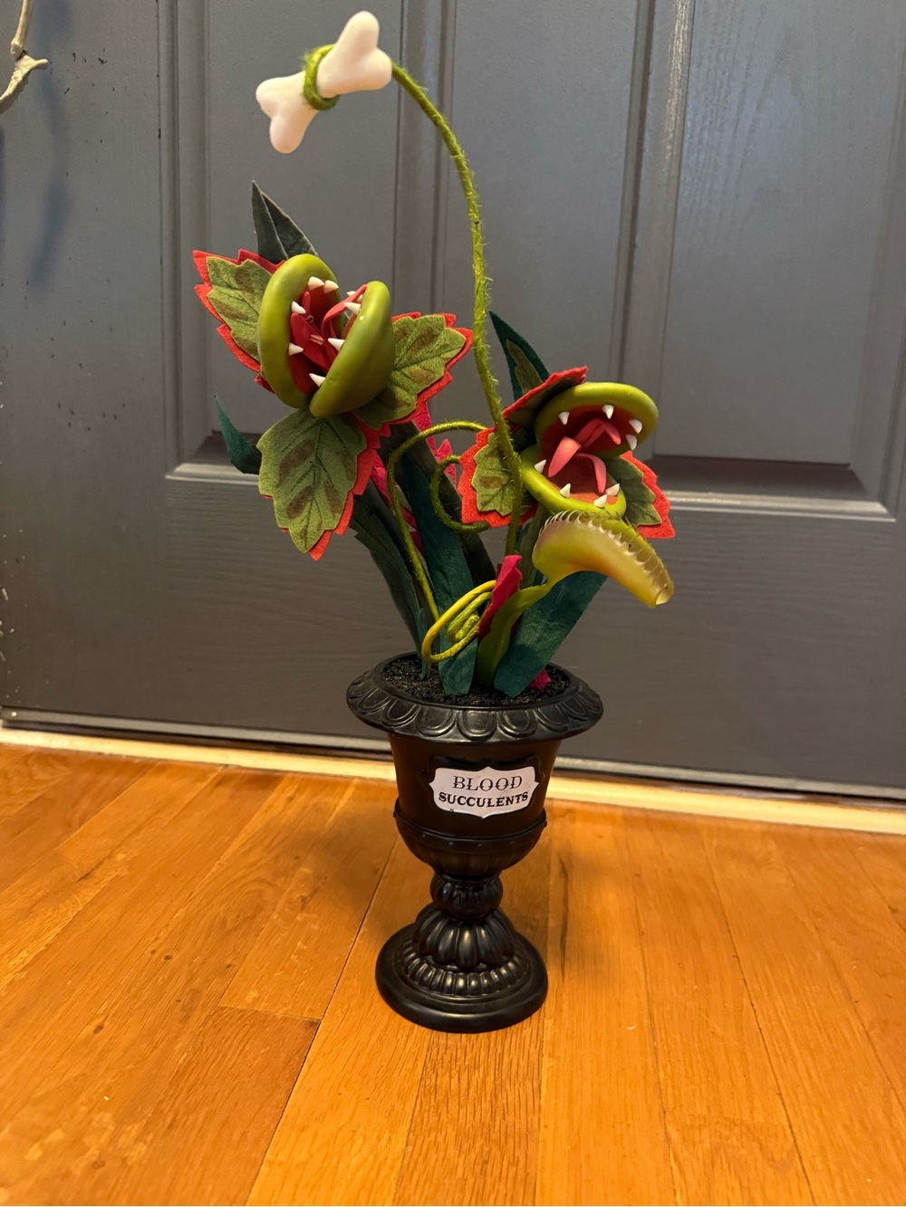 Artificial Blood Succulent Plant in Green and Red – Decorative Home Accent